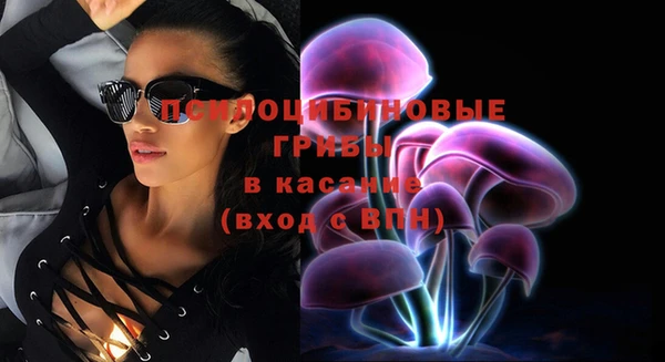 прущая мука Абаза