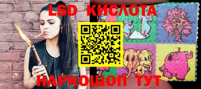 ешки Сланцы