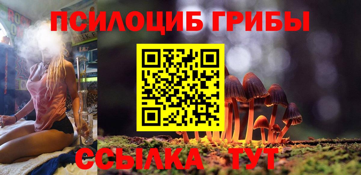 Галлюциногенные грибы Cubensis  Вход с VPN  Тутаев 
