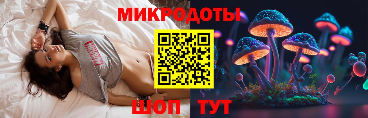 Псилоцибиновые грибы мицелий Тутаев
